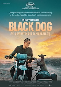 Black Dog - Weggefährten